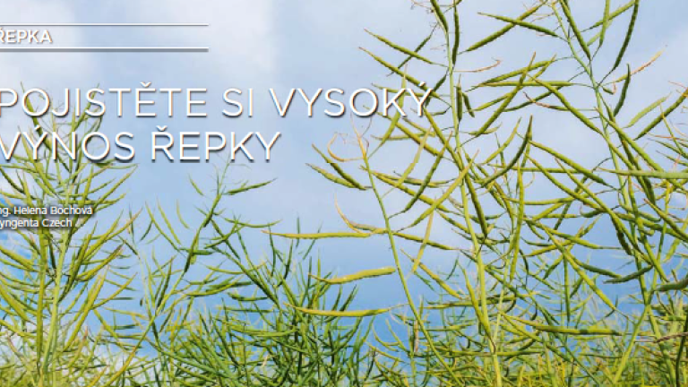 Treso fungicid do řepky