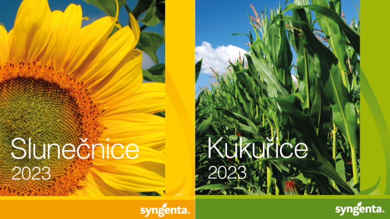 slunecnice a kukurice katalog 