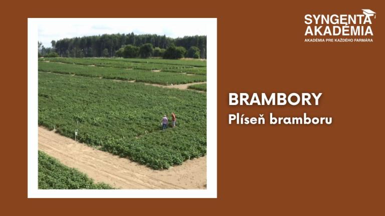 syngenta akademie_brambory_3_dil.jpg