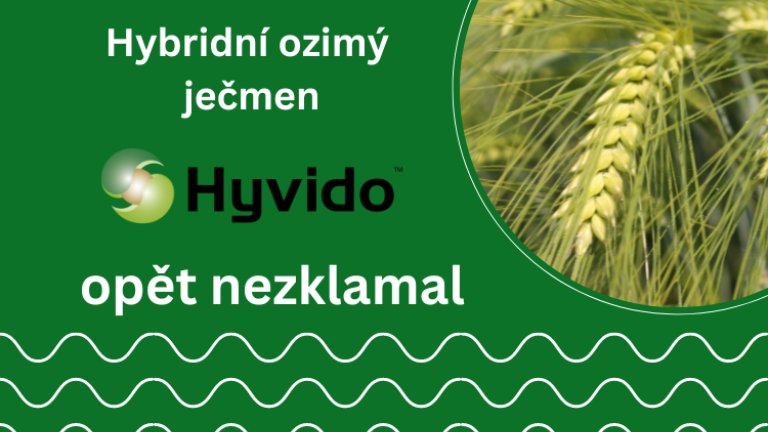Hyvido hybridní ozimý ječmen Syngenta výsledky