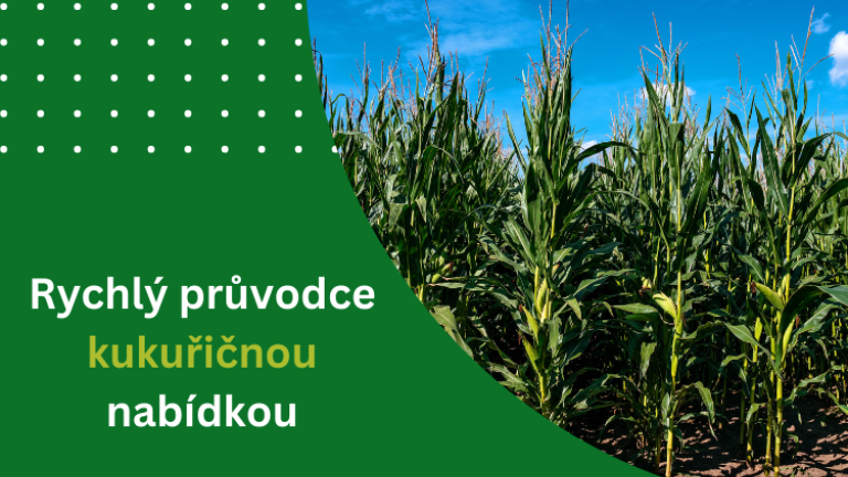 průvodce osivem kukuřice Syngenta
