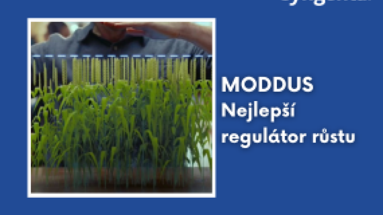 aktuality_moddus_285x214_4_ku_3_3.png