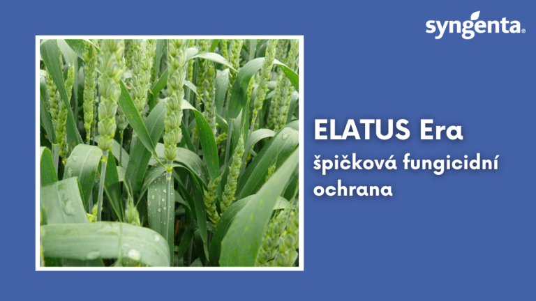 web_aktuality_elatus_rozmer_1132x637_16_ku_9.png