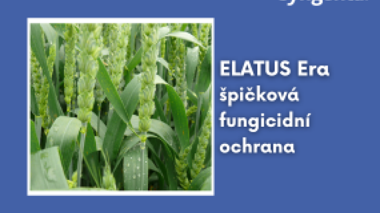 web_aktuality_elatus_rozmer_285x214_4_ku_3.png