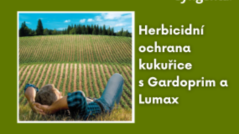 web_aktuality_gardoprim lumax ochrana kukurice_rozmer_285x214_4_ku_3.png