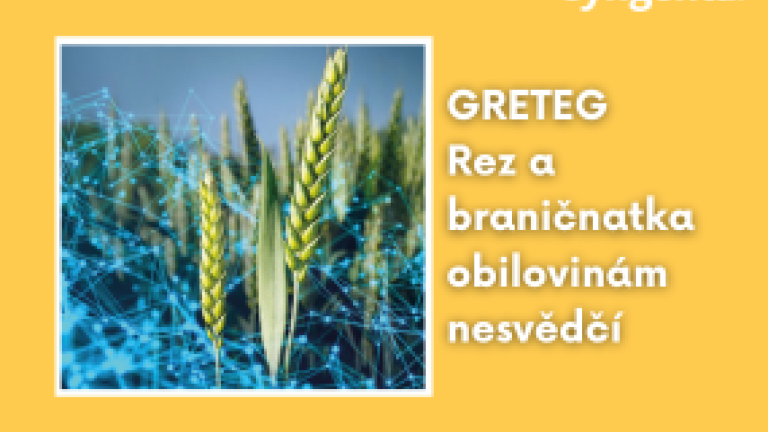 web_aktuality_greteg_rozmer_285x214_4_ku_3.png