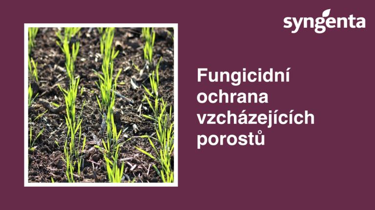 fungi-ochrana.png