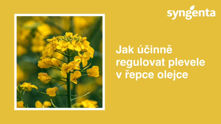 regulacia-plevele.png