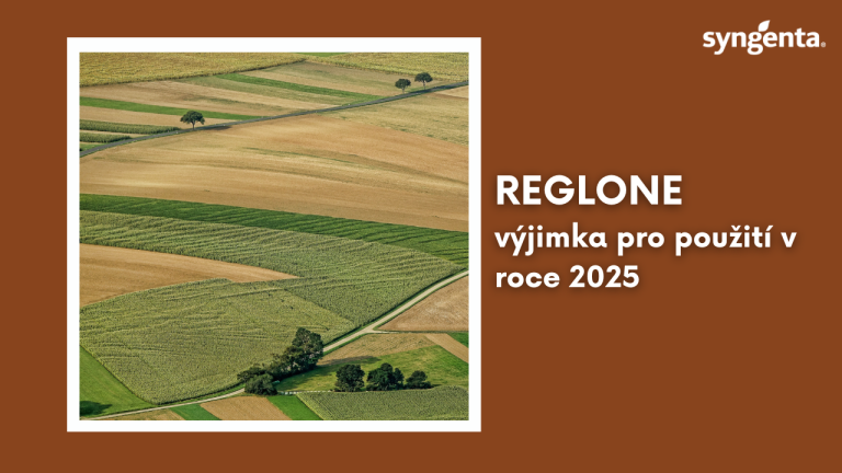 Reglone výjimka 2025