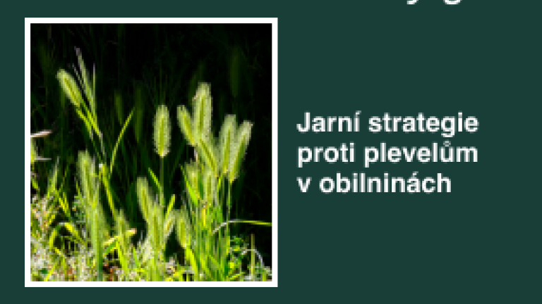 s_thumb_strategie_proti_plevelum.png