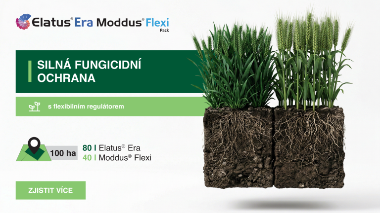 cz_hero_elatus_era_moddus_flexi_2026.png