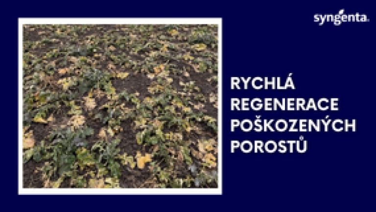 ochrana pred mrazem