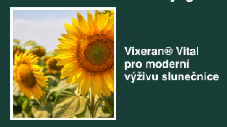 cz-sln.png