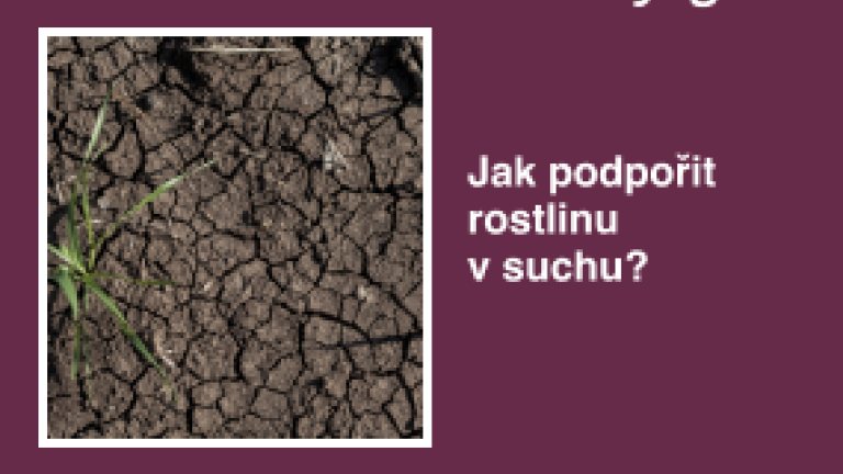 cz-sucho-maly.png