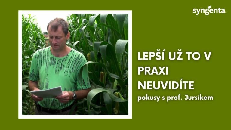 Herbicidní ochrana kukuřice - pokusy s prof. Jursíkem| Syngenta Česká republika