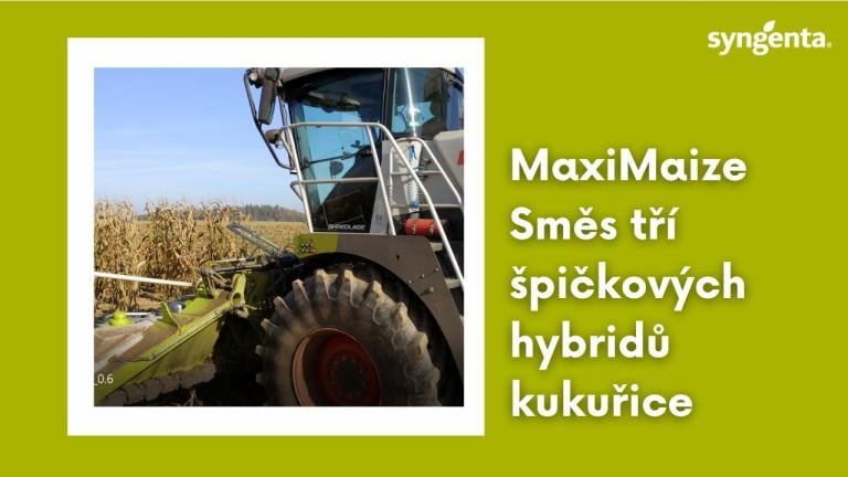 MaxiMaize, směs tří špičkových hybridů kukuřice Syngenta | Syngenta Česká republika