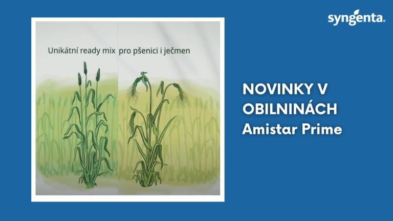 První pomoc pro vaše obilniny | Syngenta Česká republika