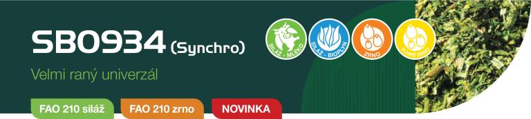 cz_k_synchro.jpg