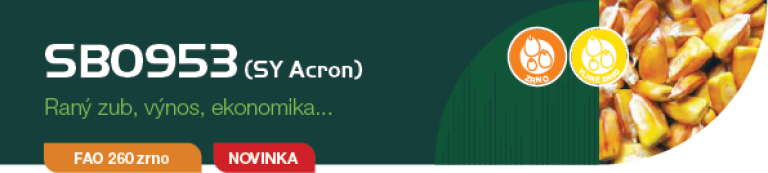 acron-banner