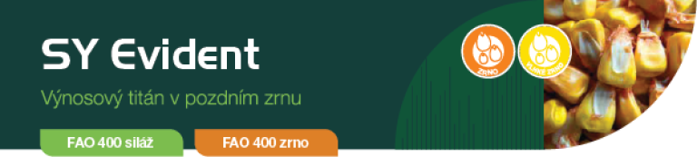 evident-banner