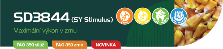 stimulus-banner
