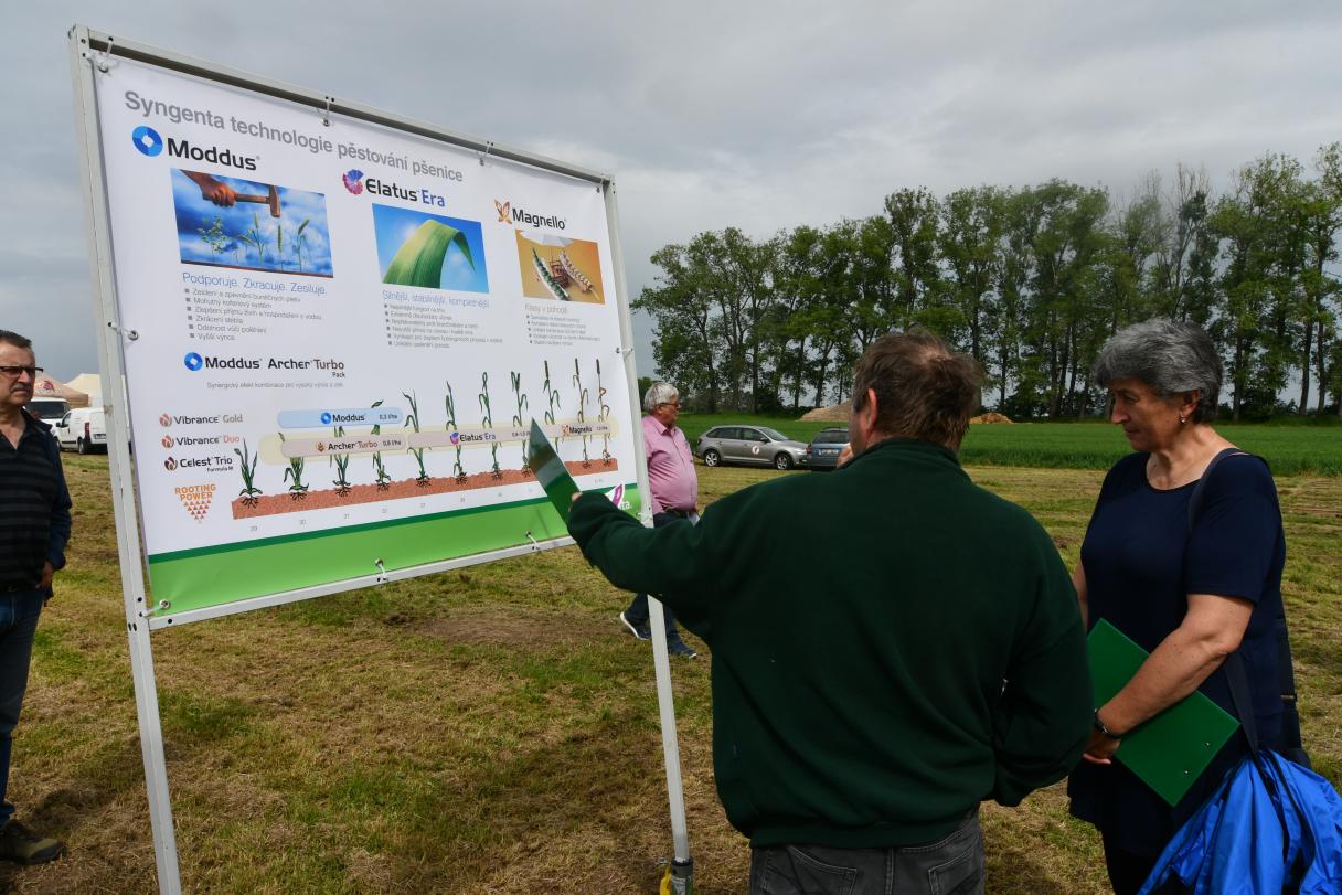 Syngenta technológia pěstování pšenice 