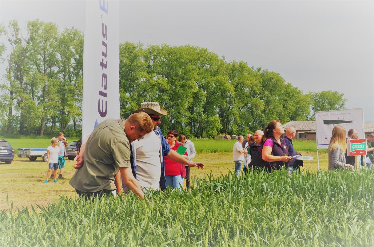 Elatus polní dni Syngenta