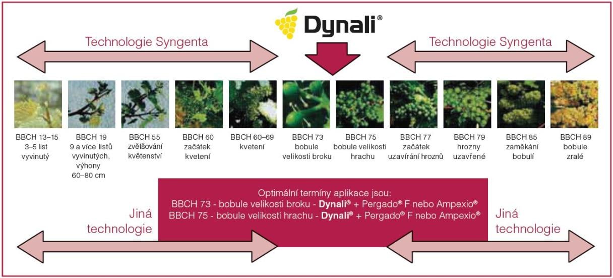dynali1