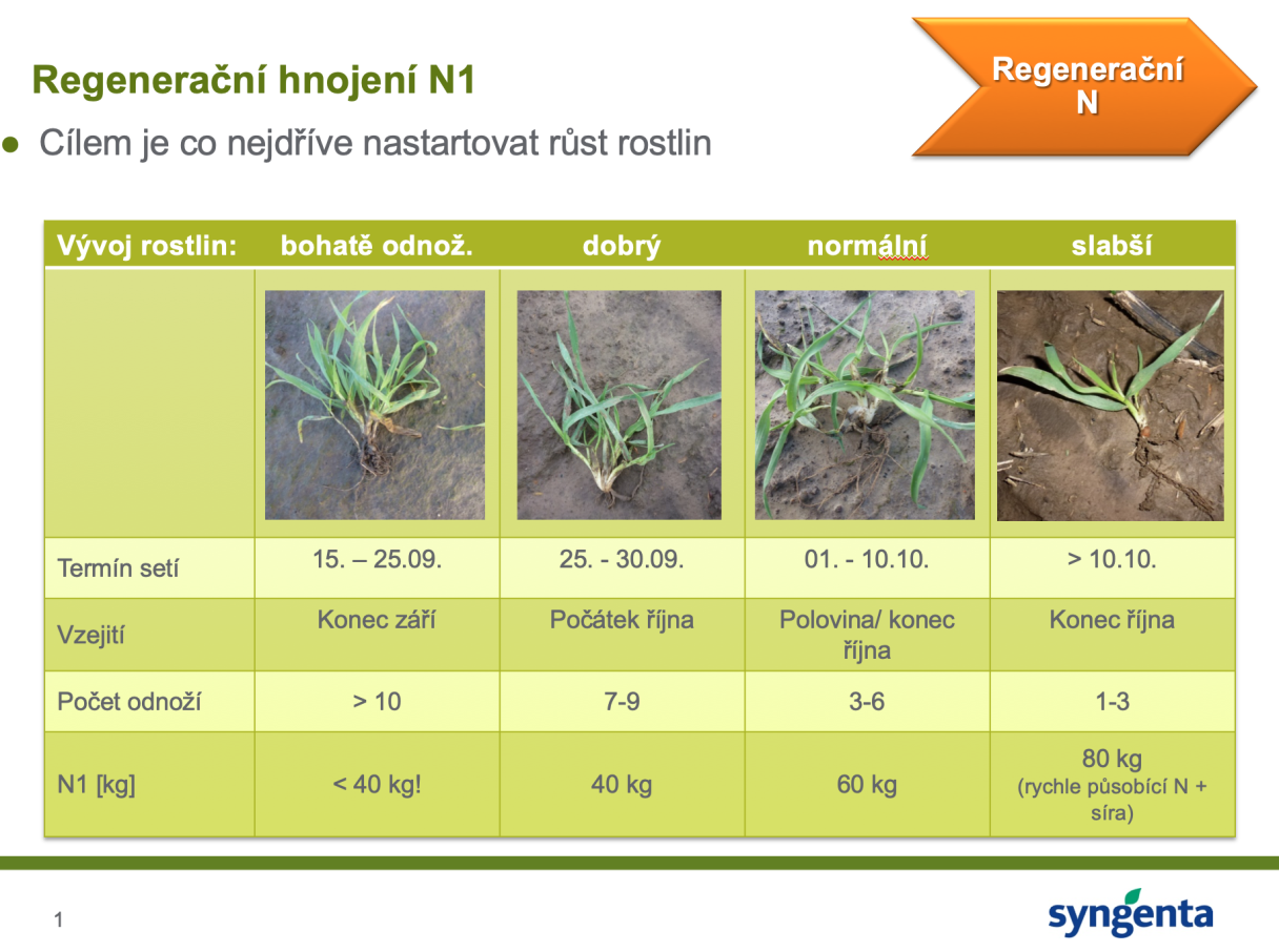 Regeneračné hnojení Syngenta