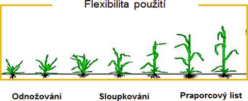 zatocte s chundelkou Syngenta