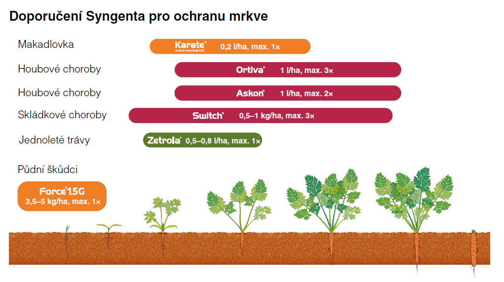 ochrana mrkve
