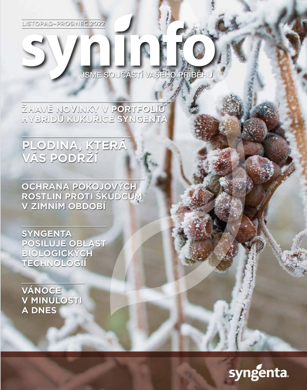 syninfo