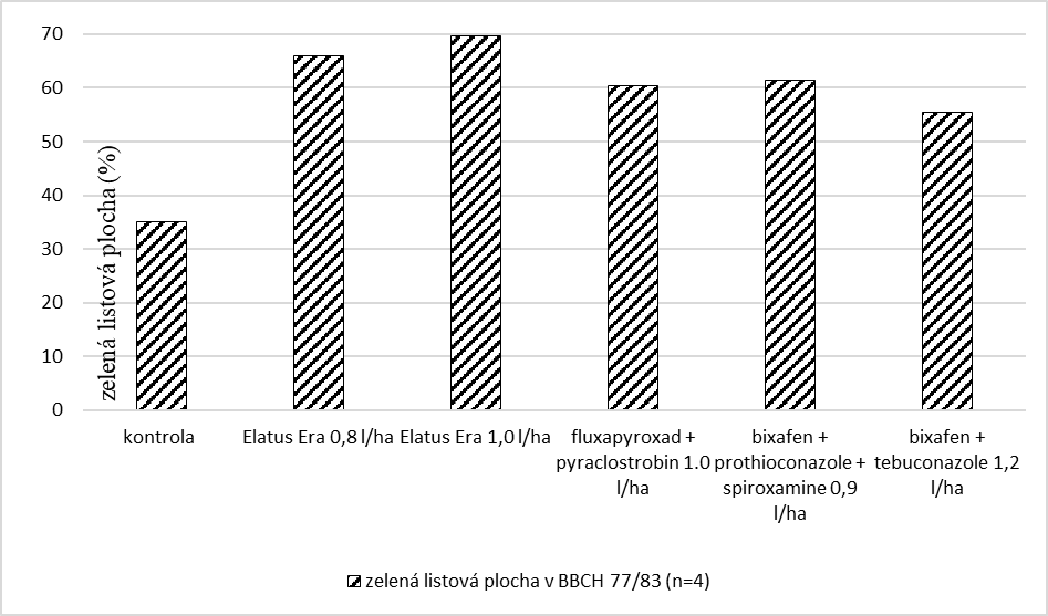 Zelená listová plocha jednotlivých fungicidních řešení v závěrečných fázích vegetace (%)
