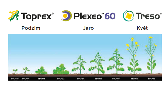 Syngenta Technologie pro nejvyšší výnos řepky