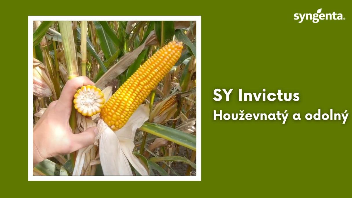 SY Invictus video