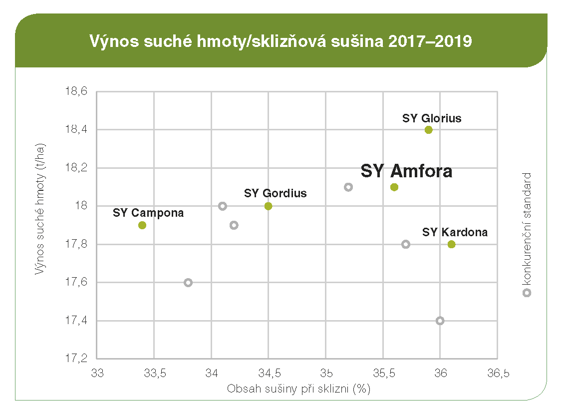 SY Amfora