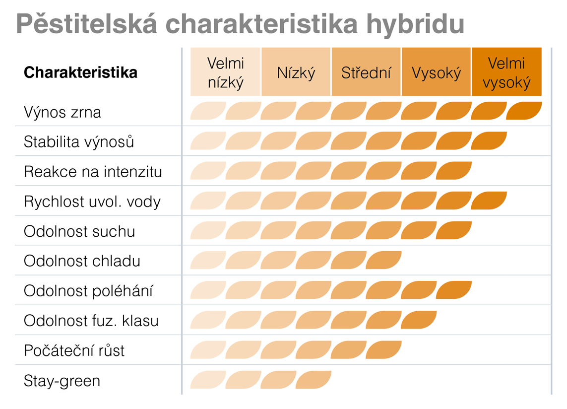 SY Granaris kukuřice Syngenta