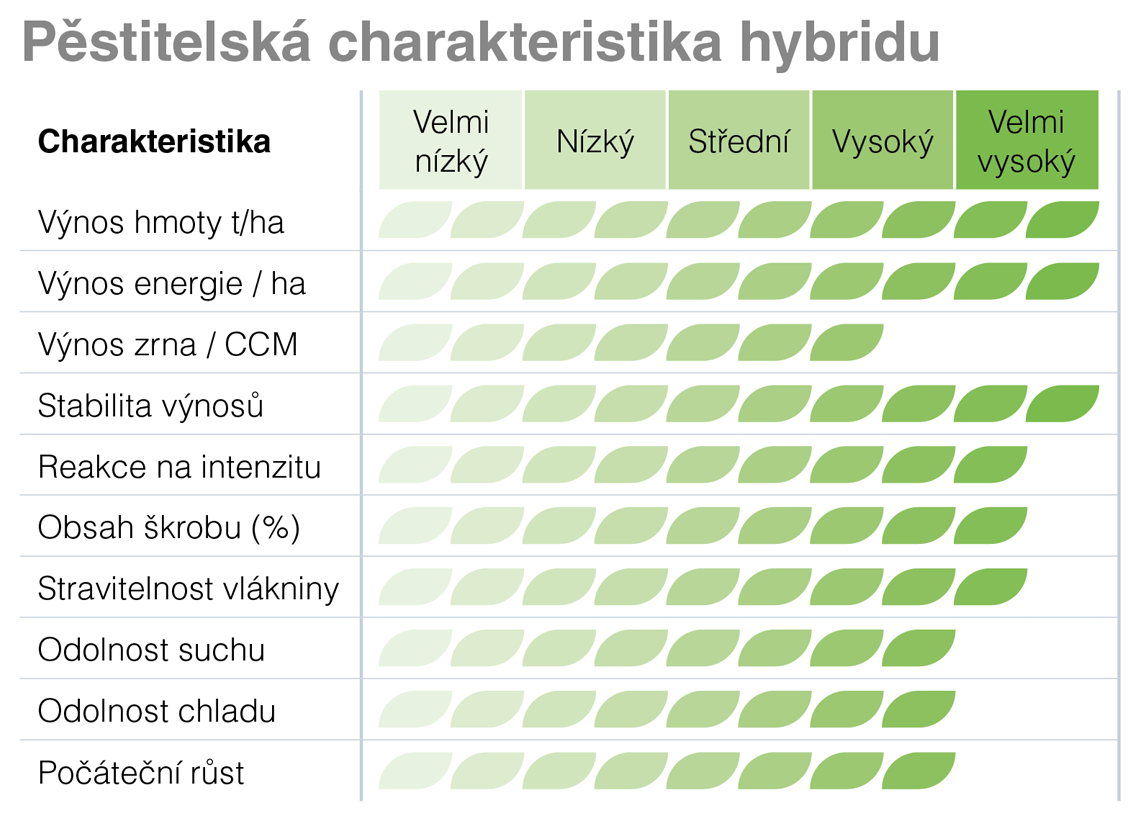 MaxiMaize 260 kukuřice Syngenta