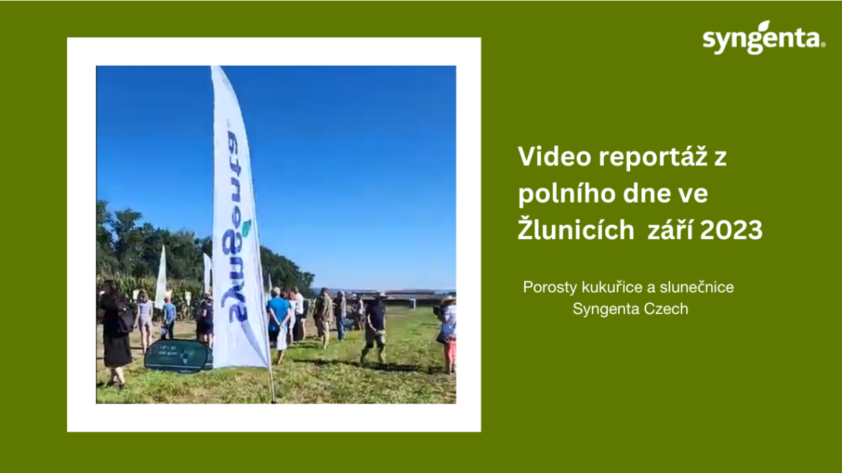 Porosty kukuřice a slunečnice Syngenta video