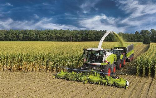 MaxiMaize kukuřice Syngenta
