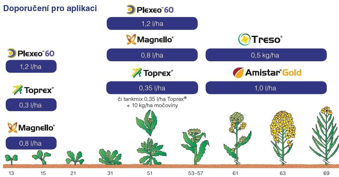 toprex_doporuceni_pro_aplikaci.jpg