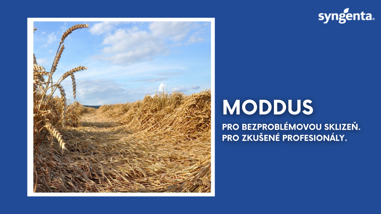 moddus_mini_yt_cz.png