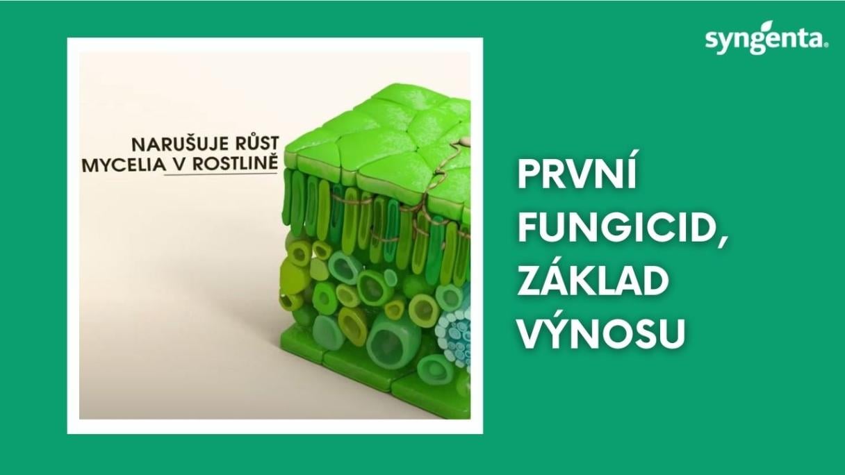 unix_mini_yt_cz.jpg