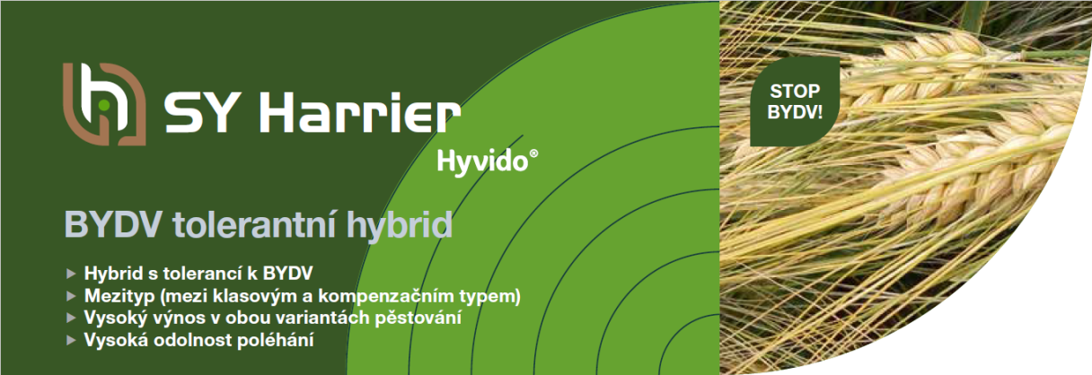 SY Harrier