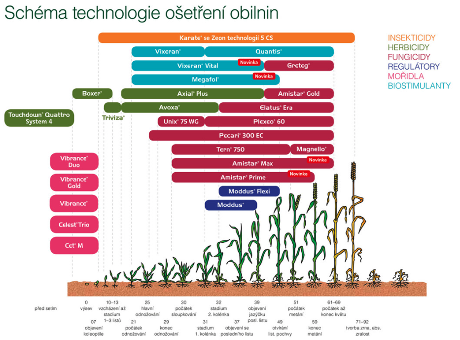 schema-obilnin-2025