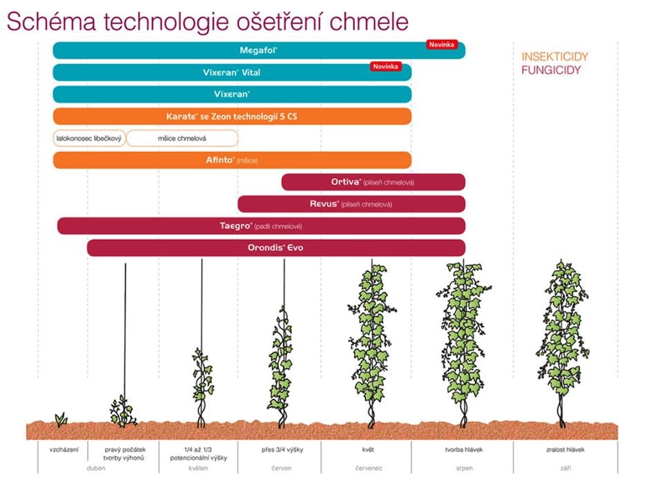schema-chmele-2025