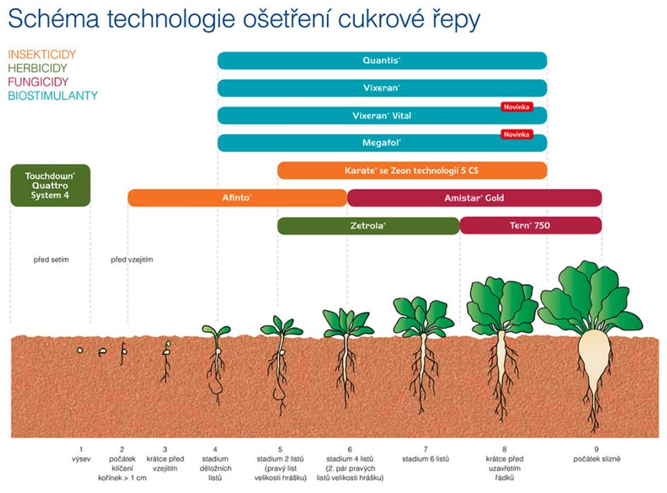 schema-cukrove-repy-2025.jpg.jpg.jpg