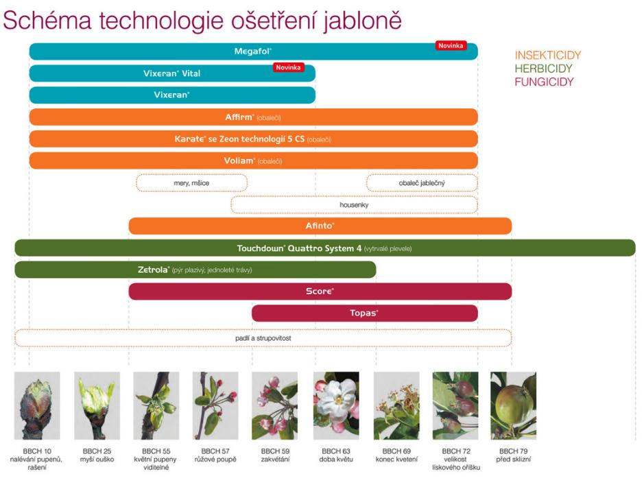 schema-jablone-2025