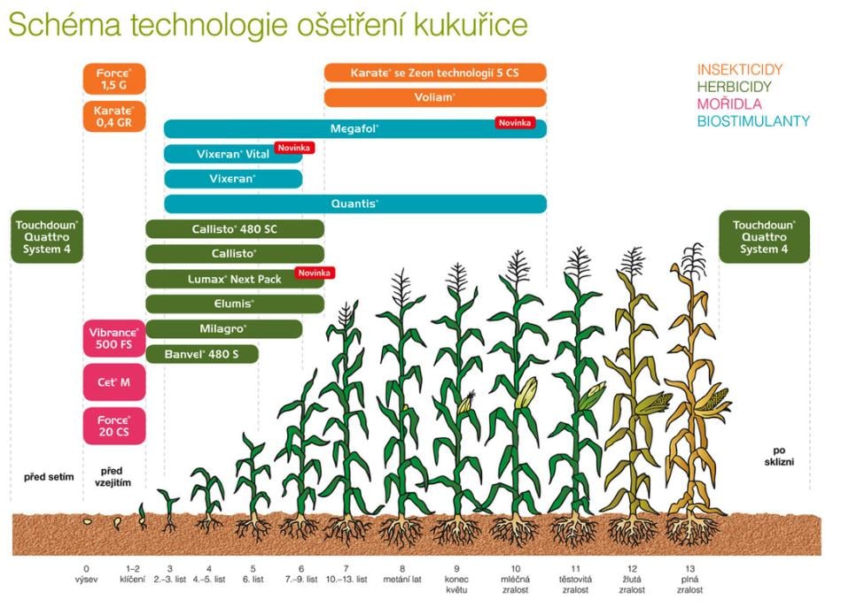 schema-kukurice-2025.jpg
