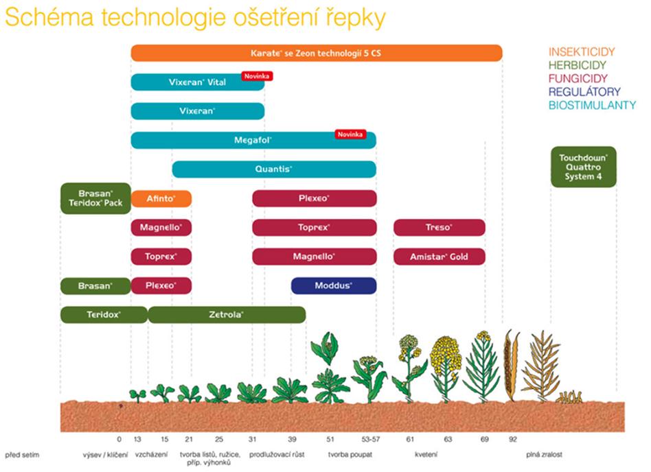 schema-repky-2025